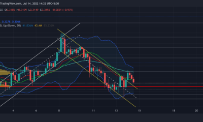 XRP가 이 방어 영역에서 반등할 가능성이 있는지 평가