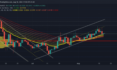 Cardano: ADA의 황소 실행을 최대한 활용할 수 있는 방법은 다음과 같습니다.