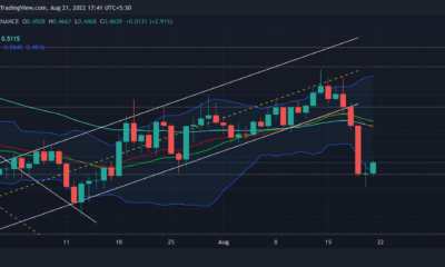 Cardano: ADA의 전환 가능성이 실제로 얼마나 중요한지