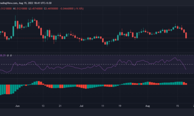 Cardano 투자자는 ADA의 14% 자유 낙하 뒤에 있는 이 이유를 알아야 합니다.