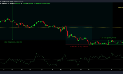 ALGO는 BTC, SHIB보다 더 큰 실망입니까? 여기에 진실이 있습니다.