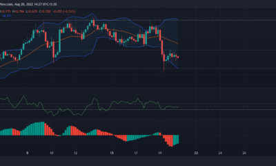 ATOM, XLM 및 XMR 가격 분석: 8월 20일