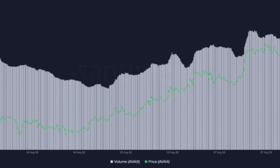 가격 변동의 눈사태, 스텔라 및 Robinhood 미스터리