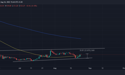 Bitcoin Cash는 8 월 19 일 저점에서 20 % 상승했습니다.