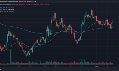 비트코인 [BTC] 장기 투자자 - 할 수 있는 일은 다음과 같습니다.