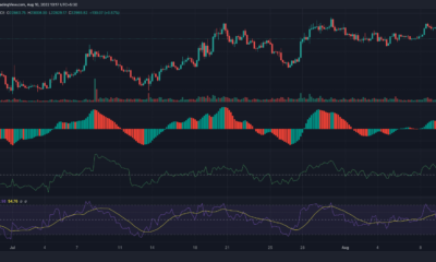 왜 비트코인 [BTC] 투자자들은 감기약 복용을 고려해야 합니다