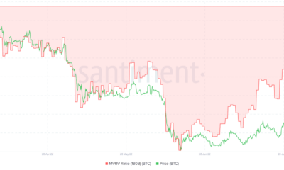 Bitcoin의 HODL 이론이 사라진 이유는 무엇입니까?  BTC 투자자들은 조심해야 합니다...