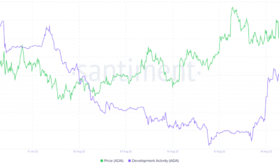 놓치고 싶지 않은 Cardano 및 Ethereum 사례 연구