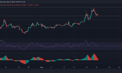 LINK, SOL, DOGE 가격 분석: 8월 18일