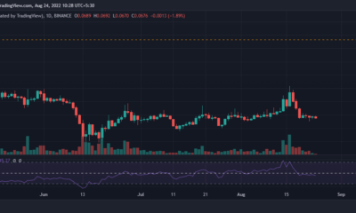 이 제안이 실행된 후 Dogecoin 투자자가 기대할 수 있는 것