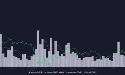 거래 손실을 피하기 위해 Dogecoin 보유자가 알아야 할 모든 것