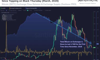 $65,000의 Bitcoin 강세장 피크 300일 - 무엇을 암시합니까?