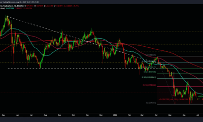 Chainlink의 15.45k 투자자는 궁핍에 처해 있습니까?