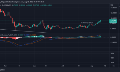 Chainlink: 잠재적 손실을 피하기 위한 LINK 보유자를 위한 주요 정보