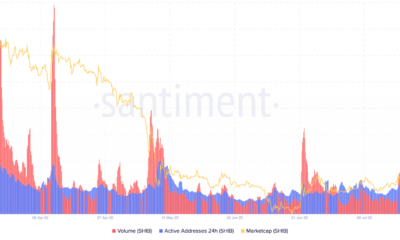 투자자, Coinbase에서 'Burning'SHIB의 최근 구매 열풍을보십시오