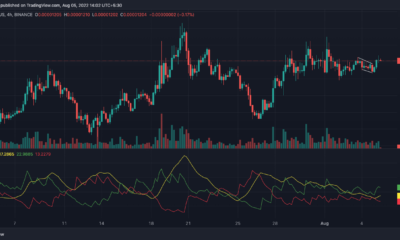 Shiba Inu, 그 연소율 및 주목해야 할 Binance 요소