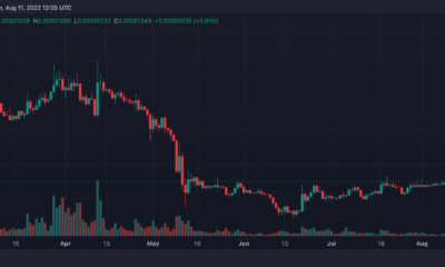 Shiba Inu Coin (SHIB) 가격 예측 2025-2030: SHIB는 실제로 얼마나 오를 것인가?