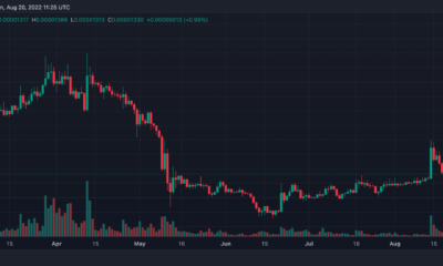 Shiba Inu Coin(SHIB) 가격 예측 2025-2030: SHIB는 2030년에 2800% 급등할 것입니까?