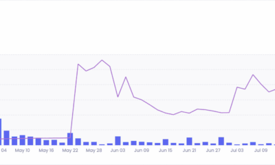 >100일, 공개 판매 후 LEASH는 SHIB와 동일한 재산 공유