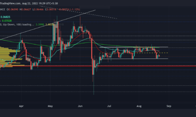 Tron: TRX 황소가 전화를 걸기 전에 조심해야 하는 것