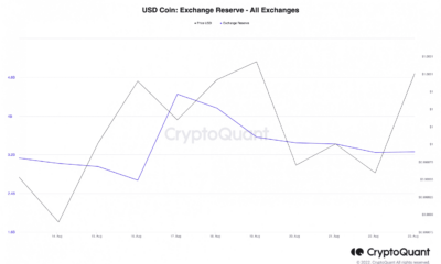 HODLing USDC?  긴장을 유지하기 위해 이러한 측정항목을 검토하십시오.