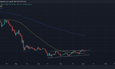 이 요소에 대한 Ripple의 계획은 XRP의 주요 성장을 볼 수 있습니다.