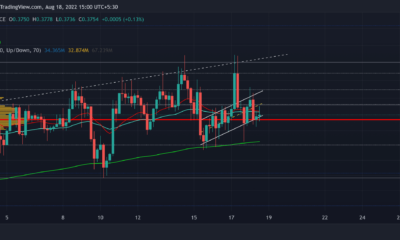 XRP 투자자가 달을 찍을 수 있는 이유