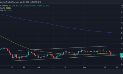 XRP의 가격 조치는 이런 일이 발생하지 않는 한 장기적 상승을 위해 무르익었습니다.