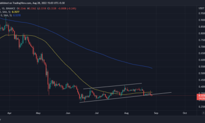 XRP 소송: Ripple이 지면 이 도박이 실제로 유리할 수 있습니까?