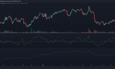 Binance "영수증"이 Tezos가 나쁜 사과임을 증명한 후 XTZ는 급락했습니다.  무엇 향후 계획?