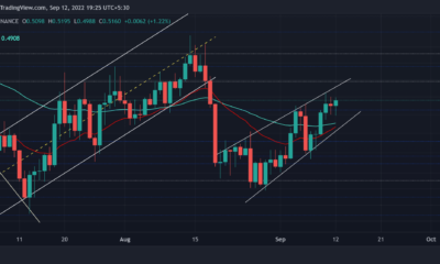 이 패턴에서 탈주를 일으킬 수 있는 Cardano의 잠재력 평가