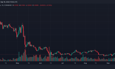 알고랜드(ALGO) 가격 예측 2025-2030년: ALGO에 대한 2030년의 목표는 다음과 같이 높을 것입니다.