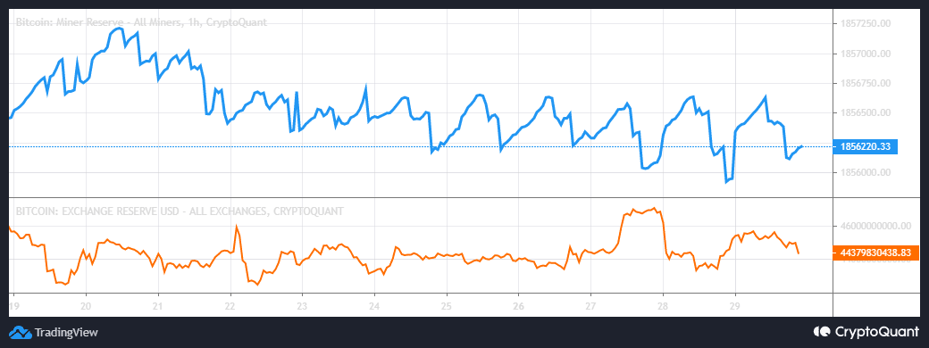 Bitcoin 장기 보유자 수익성은 BTC 맥시스에 대한 충격적인 통계를 가지고 있습니다.