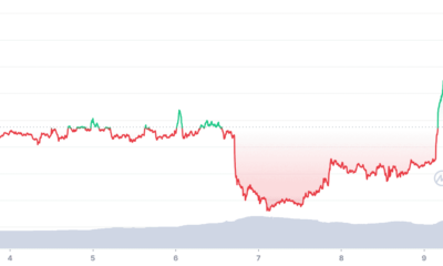약 50%의 BTC 보유자가 이득을 보지만 여기서 (과도한) 낙관론은 위험할 수 있습니다.