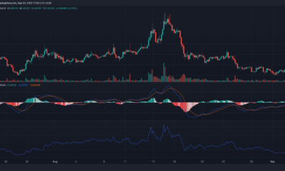 Dogecoin의 눈 [DOGE] 2백만 달러 이상의 고래 활동이 밝혀졌습니다...