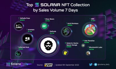 Solana NFT 컬렉션 및 알아야 할 최신 정보