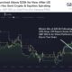 비트코인 [BTC] $20,000까지 추락 - 매도할 적기인가?