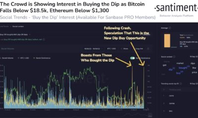 비트코인의 취약성은 이 BTC HODLer 모토에 가장 큰 영향을 미쳤습니다.