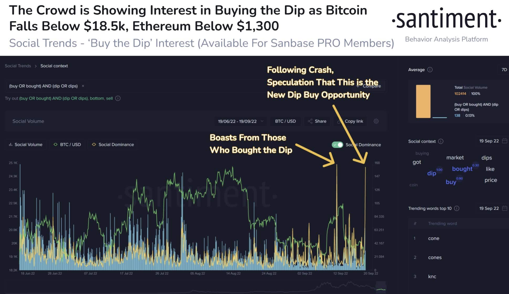 비트코인의 취약성은 이 BTC HODLer 모토에 가장 큰 영향을 미쳤습니다.