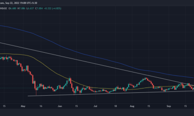 Chainlink 투자자는 거래를 마감하기 전에 이것을 고려해야 합니다.