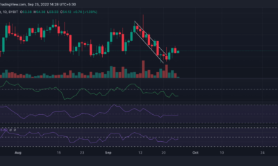 다음은 Litecoin의 전체 상태입니다. [LTC] MW 업그레이드 이후 시장