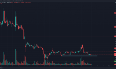 Dogecoin은 지원 영역에서 약간의 발판을 찾았지만 모멘텀은 곰에게 유리했습니다.