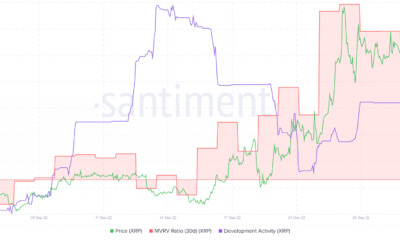 SEC 대 리플 효과 및 XRP의 최신 업적에 대해 알아야 할 모든 것