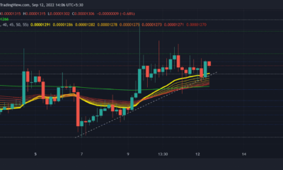 Shiba Inu가 인상적인 5일간의 위업을 마치고 다음으로 향할 수 있는 곳