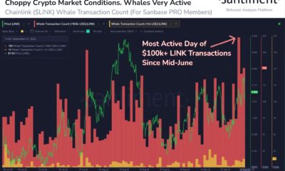 Chainlink의 15% 랠리는 최근 디커플링의 직접적인 영향일 수 있습니다.