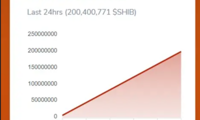 SHIB 소각률은 3000%까지 치솟지만 가격이 더 오를 여지가 있습니까?