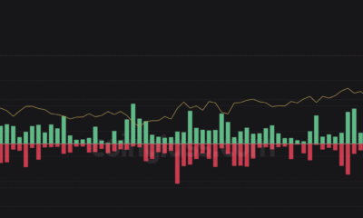 Vasil 업그레이드에 앞서 Robinhood 목록에 등록된 후 ADA의 반응