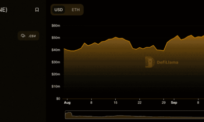 ETH 고래가 SHIB의 'BONE'과 같이 미각을 바꾸게 하십시오.