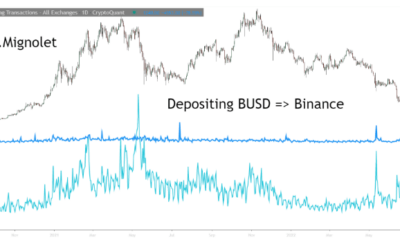 Bitcoin 고래와 Binance의 공통점은 투자자를 우려해야 합니다.