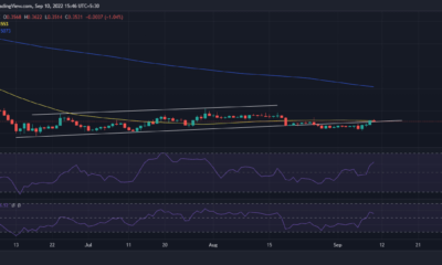 XRP의 14% 상승이 본격적인 강세장으로 변할 수 있는 이유